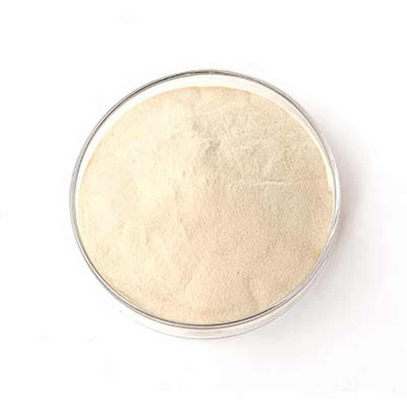 Guar 13S Cas 65497-29-2 china manufacturer- Autech industry